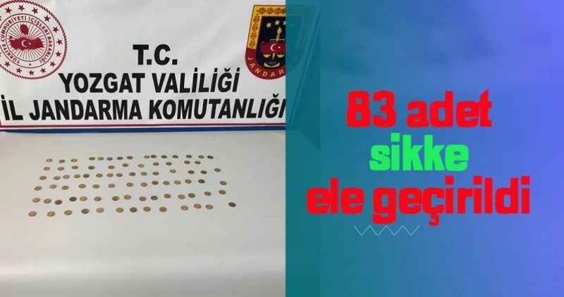83adet sikke ele geçirildi