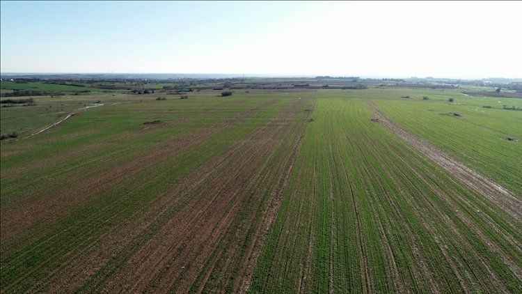 10 bin 851 m² tarla icradan satılacak