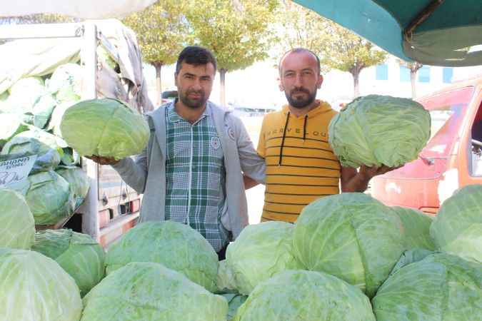 Yozgat’ta kış pazarının vazgeçilmezi lahana tezgahlarda