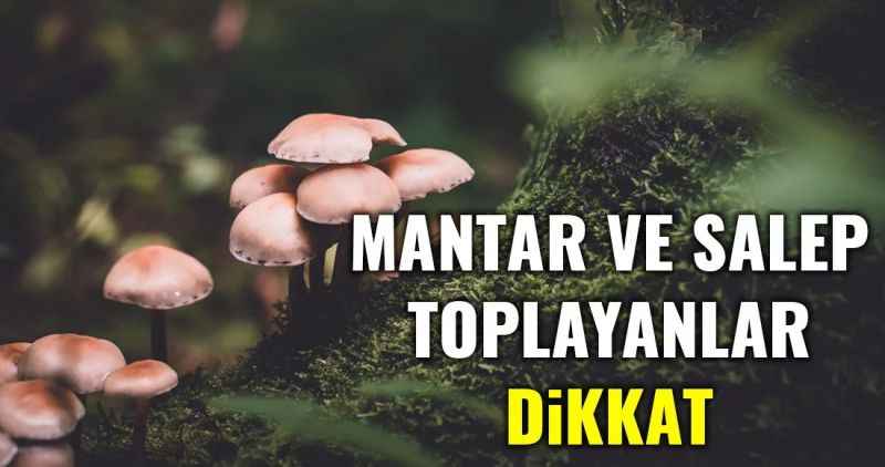 Akdağmadeni Mantar ve Salep Eğitimi Toplantısı Yapıldı