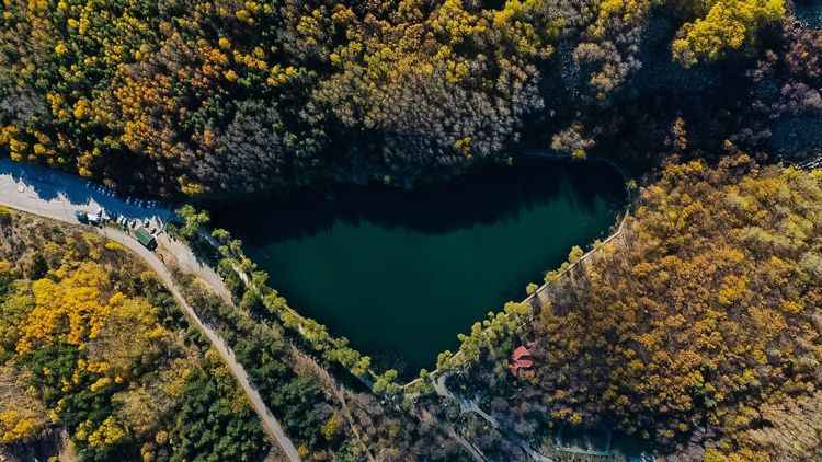 Sonbaharda Mutlaka Gezilmeli: Karagöl Tabiat Parkı Huzur Ve Sakinliğin Noktası Oldu