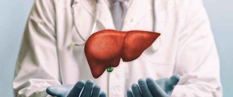 Organ Yetmezliği Sonrası Böbrek Naklinde İyileşme Süreci Nasıl Olur?