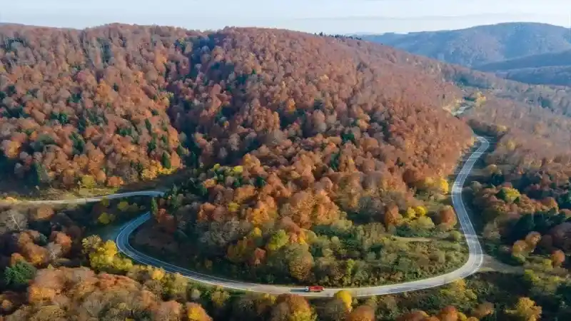 Sonbaharda Bir Başka Güzel Çam Dağı