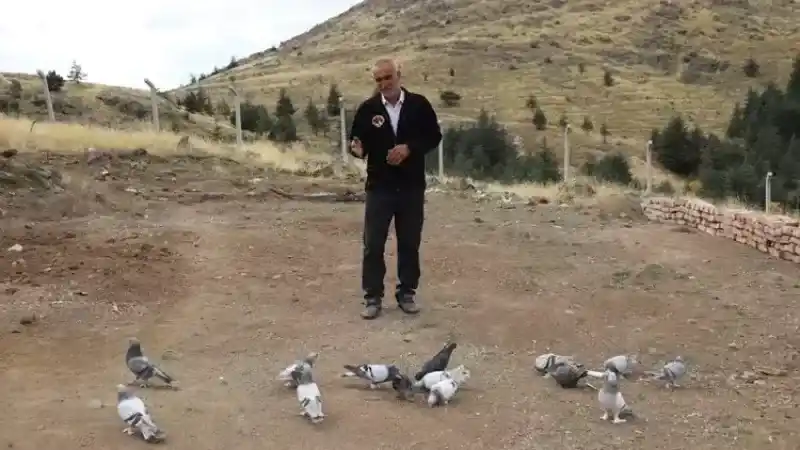 Depremden Etkilenen Güvercinlere Ankara'dan Yardım Eli: Aydın Gökguş'un İnsani Duyarlılığı