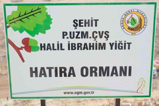 Geleceğe Nefes Oluyor: Yozgat'ta Şehitlerimizin Anısına Ağaçlandırma Etkinliği Düzenlendi!