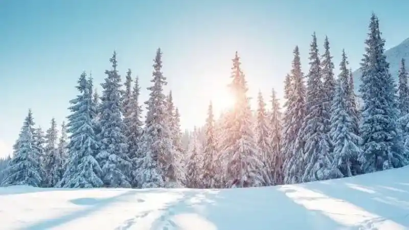 La Nina Nedir? El Nino ve La Nina Farkı: Türkiye'de Bu Sezon Kış Nasıl Geçecek?
