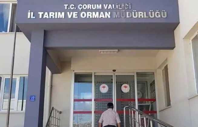 Çorum İl Tarım ve Orman Müdürlüğü Ceviz Hasat Makinesi Alımı İhalesi Duyurusu