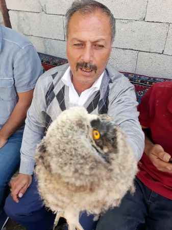 Yaralı Buldular