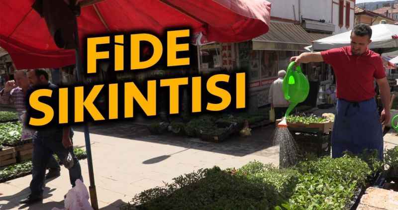 Fide sıkıntısı