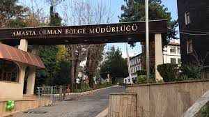 Amasya Orman Bölge Müdürlüğü Yeni Fidan Dikimi İçin İhale Açtı