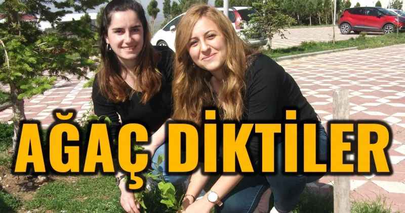 Ağaç Diktiler