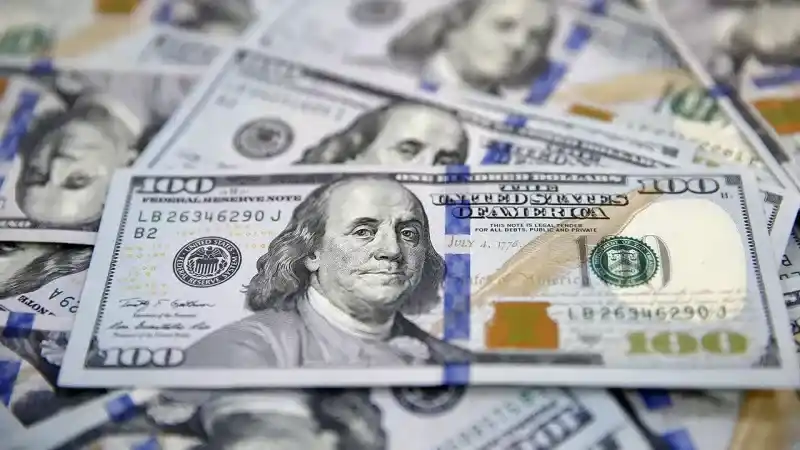 Ziraat Bankası Eski Müdür Yardımcısından Döviz Tahmini: 2024 Dolar Kuruyla İlgili Analizlerini Paylaştı!