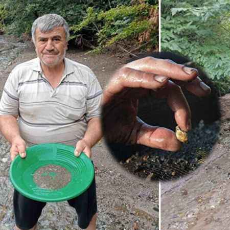 Zonguldak Derelerindeki Altınlar İlgi Odağı Oldu: Yozgat'ta da Altın Tozu Var mı?