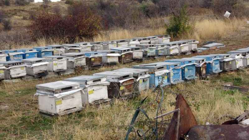 Yozgat'ta Arıcılık Tehlikede: 15 Bin Kovan Zarar Gördü, Çözümü Var mı?