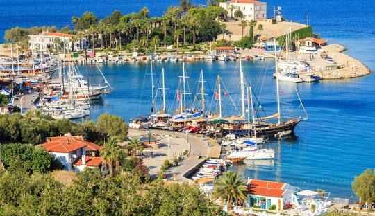 Muğla Her Alanda Varım Diyor: Turizmden Tarıma, Zeytincilikten Balıkçılığa!