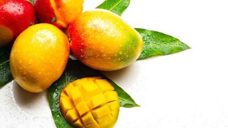Mango Çayı Antioksidan ve C Vitamini Deposu: Şifa Niyetine İçebilirsiniz!