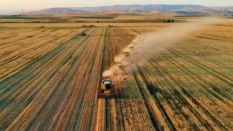 Türkiye'de Tarım Tehlikeye Girmek Üzere: Milletvekili Şerafettin Kılıç Önemli Bir Soruna Dikkat Çekti!