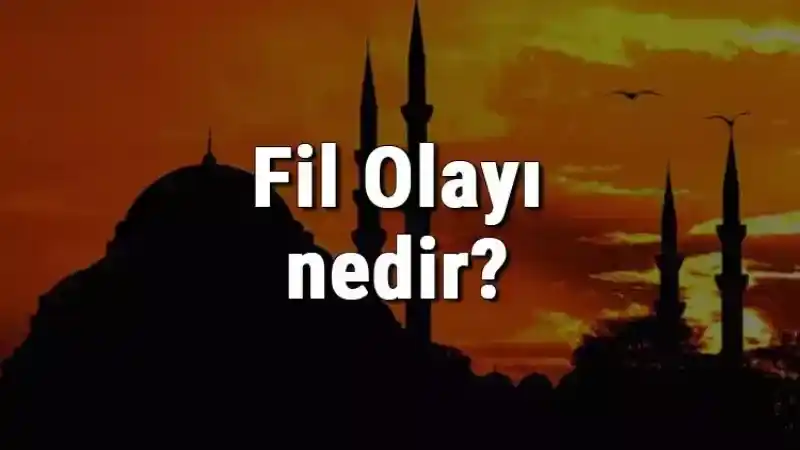 İslam'da Büyük Yer Edinen Fil Olayı Nedir? Fil Olayı Fil Suresi'nde Nasıl Anlatılmıştır?