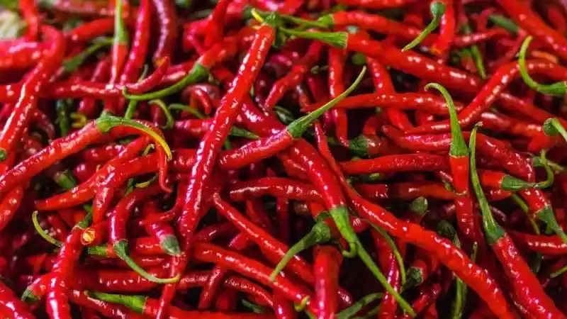 Biber Neden Acıdır: Acı Etkisis Veren Madde Kapsaisin Hakkında!