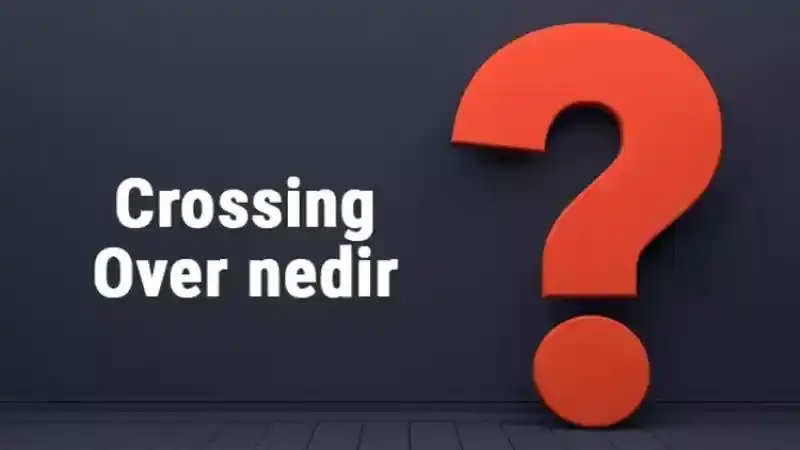 Mayoz Bölünme Sırasında Gerçekleşen Crossing Over Olayı Nedir: Mayoz Bölünmenin Kaçıncı Evresinde Gerçekleşir?