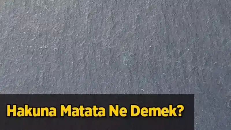 Hakuna Matata Ne Demek? Hakuna Matata Hangi Dile Ait ve Esprisi Var mı?