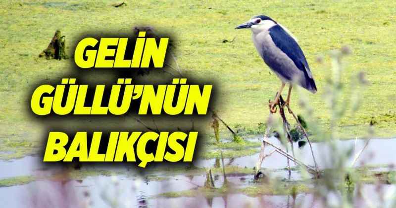 Gelin Güllü'nün balıkçısı