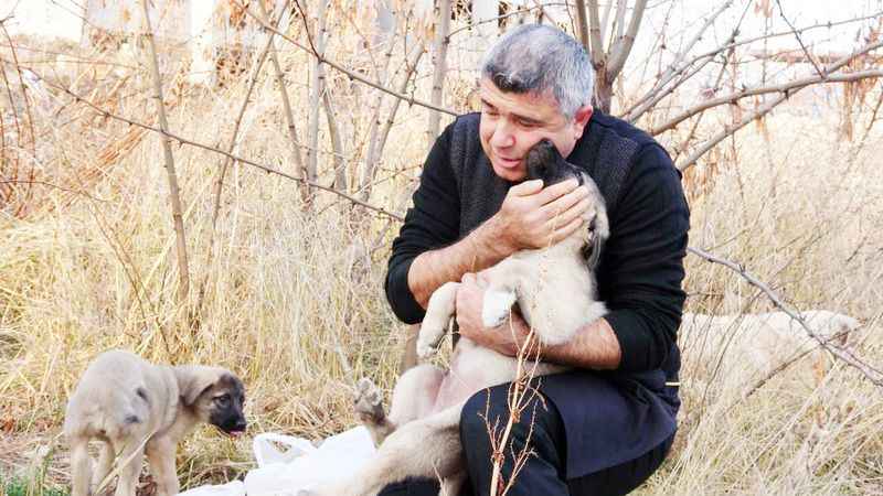 Yozgat’ta Kalpleri Eriten Olay: Anne Köpeğin Duygulandıran Hikayesi! (07/12/2023)