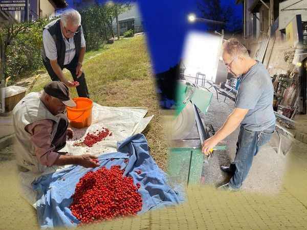 Yozgat’ta Çerkez İsa Bey'in Kurduğu O İlçede İnsan Halleri! Bir Zamanların Çiftliğinden İlçeye Dönüştü... (09/12/2023)