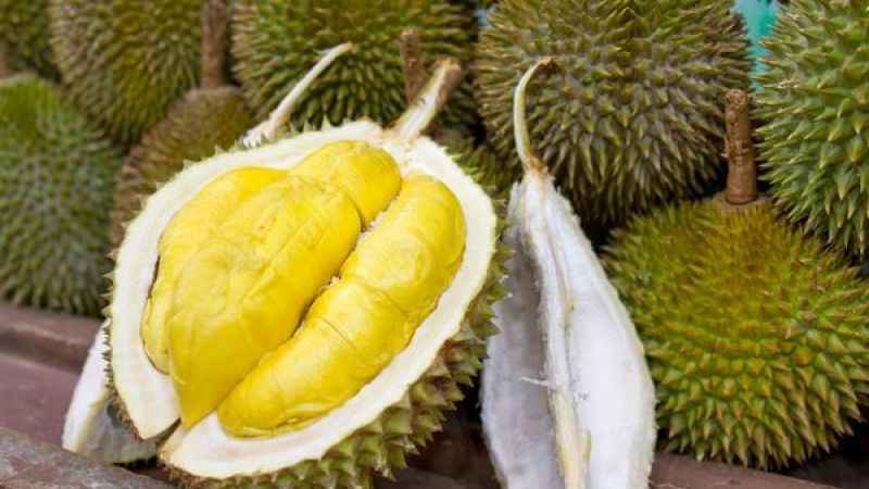 1 Aylık Demir İhtiyacını Bu Meyve İle Karşılayın: Durian Meyvesi Hakkında Merak Edilenler!