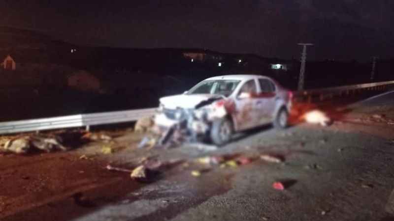 Gece Yola Çıkan Koyunlar Telef Oldu: Kamyon Şoförü Koyunları Geç Fark Etti! (10/12/2023)