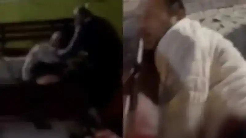 Alkollü Grup Arasında Kavga: Bıçaklandıktan Sonra Horlaya Horlaya Uyudu (12/12/2023)