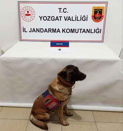 Yozgat İl Jandarma Uyuşturucuya Göz Açtırmıyor! Yeni Operasyonlara Dair Bilgi Verildi! (13/12/2023)