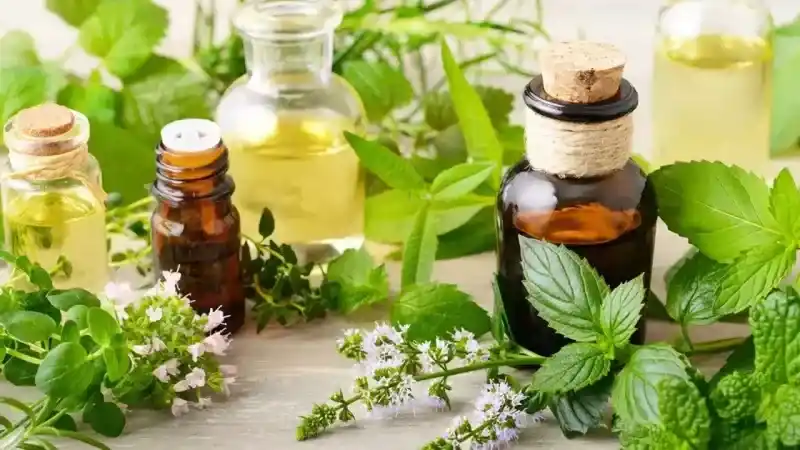 Nioli Yağı Nedir? Nioli Yağının Vücuda, Cilde Faydaları ve Kullanım Şekli!