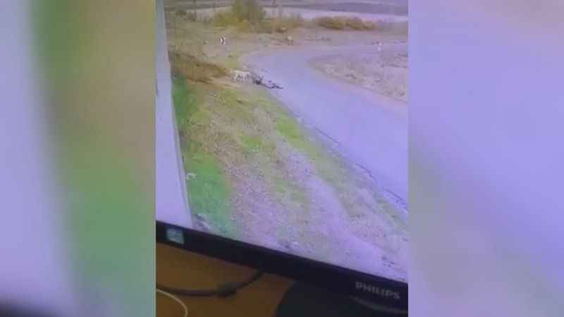 Ankara Polatlı'da Köpek Saldırısı: Bisiklet Süren Çocuğu Isırdı! (15/12/2023)