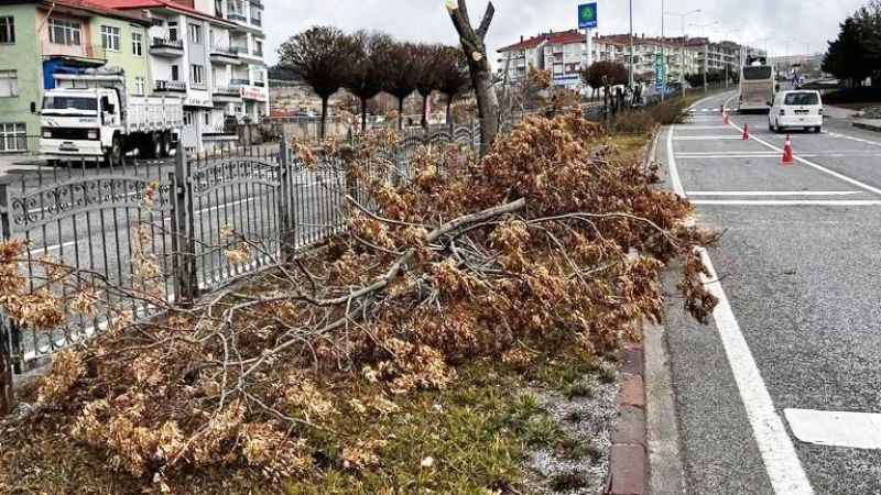Yozgat Belediye Başkanı Celal Köse: "Daha Güzel, Daha Temiz Yozgat İçin Çalışıyoruz"