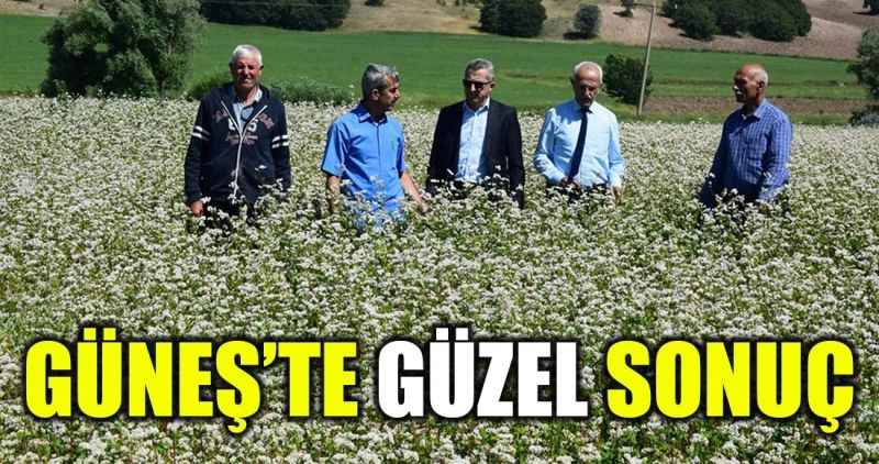 Güneşte Güzel Sonuç