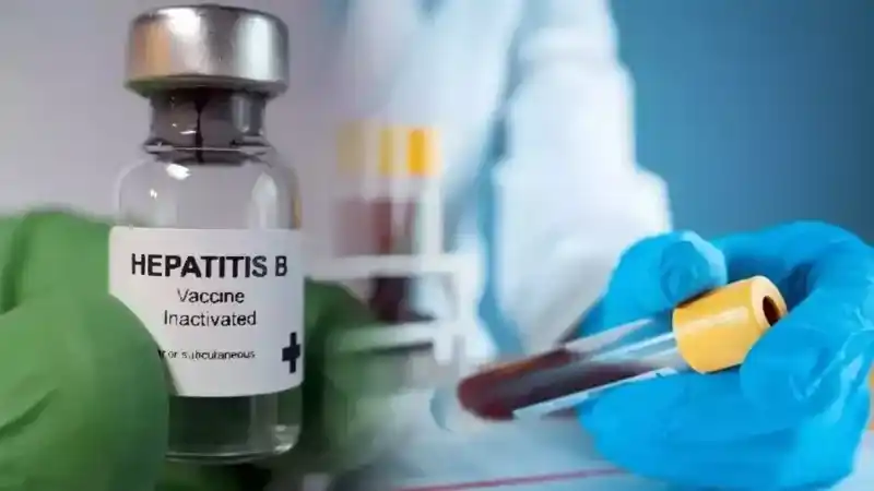 2023 Yılında İnternette Çok Aratıldı: Anti HBS Nedir? Anti HBS Anlamı Hakkında!