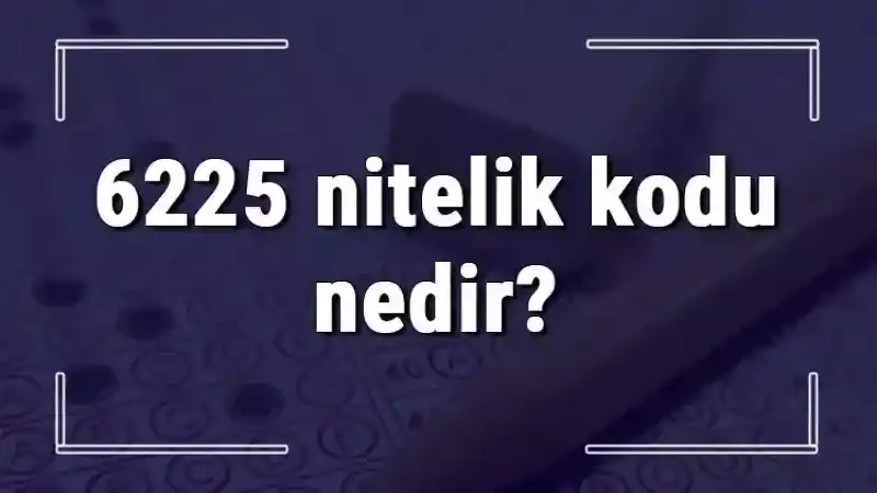 KPSS'de Nitelik Kodlarının Anlamları: 6225 Nitelik Kodu Nedir ve Ne İşe Yarar?