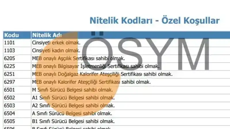 KPSS NİTELİK KODLARI 2023 7322, 7374, 7111, 6506 ve 6225 nitelik kodları nedir? 2023 KPSS Nitelik Kodları Hakkında!
