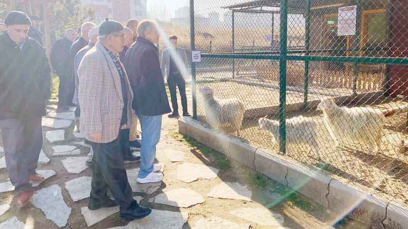 Pursaklar Belediyesi: Pursaklar’ın Dedelerini Endemik Vadi’yi Gezdirdi! (21/12/2023)