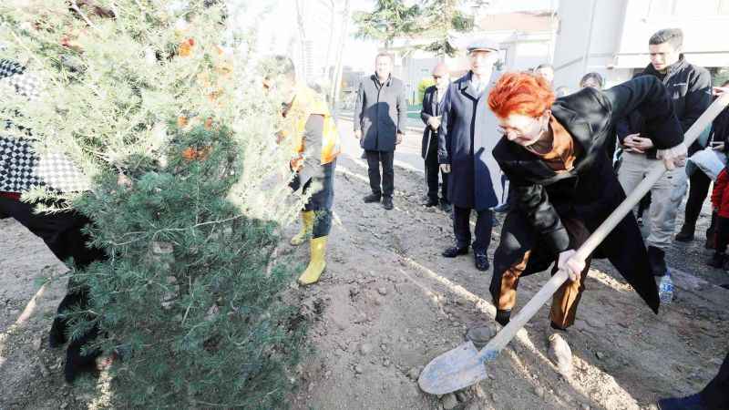 Yenimahalle Belediyesi ve Türk Toraks Derneği Ağaç Dikti! (21/12/2023)