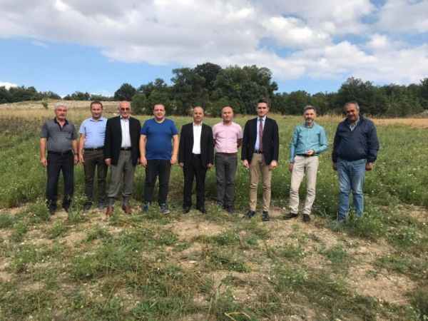 Yerinde İnceledi