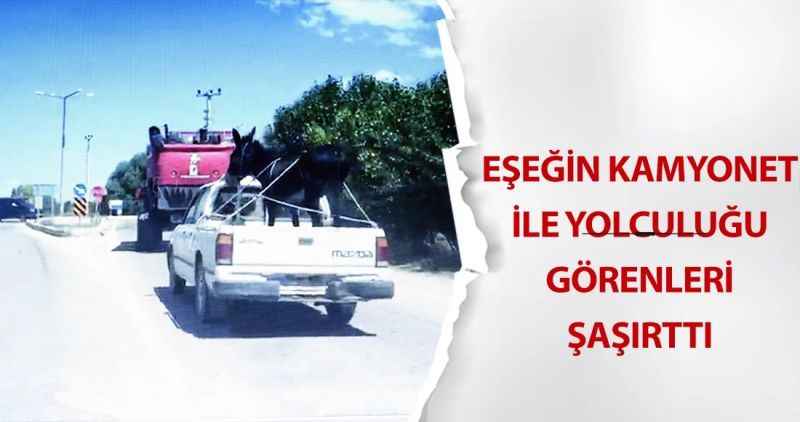 Eşeğin kamyonet ile yolculuğu görenleri şaşırttı