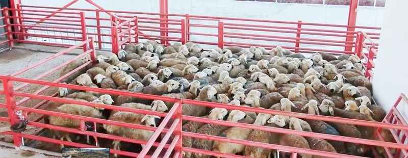 Yozgat Dev Firmanın Tedariğini Sağlayacak! Milyonların Alışveriş Yaptığı Market ile Büyük Anlaşma!