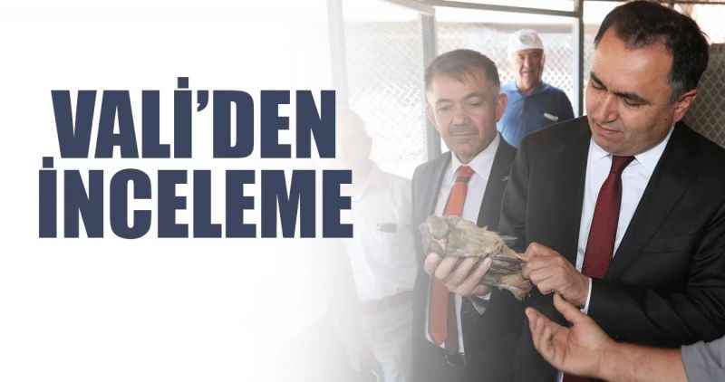 Hüseyin Önal Hatıra Ormanı ve Keklik Üretim Çiftliğinde İnceleme