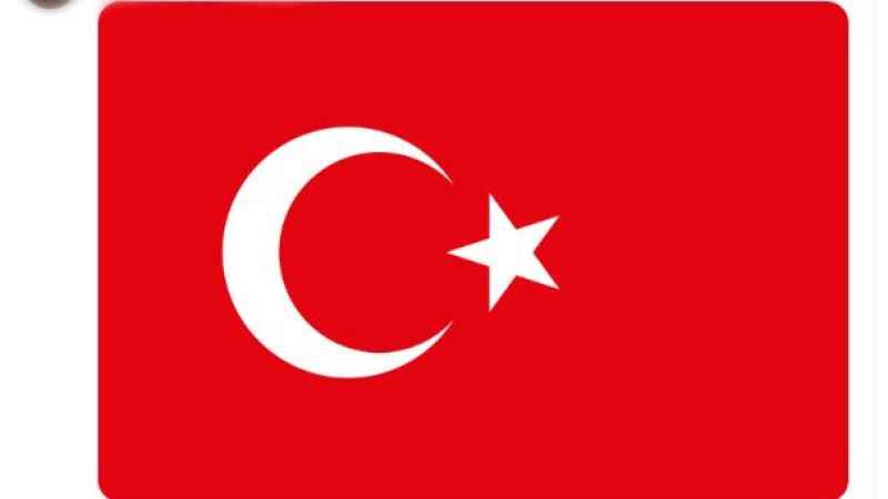 Sosyal Medyada Terör Propagandası Yapıyordu: Mahkeme 1 Ay Boyunca Türk Bayrağı Paylaşma Cezası Verdi!