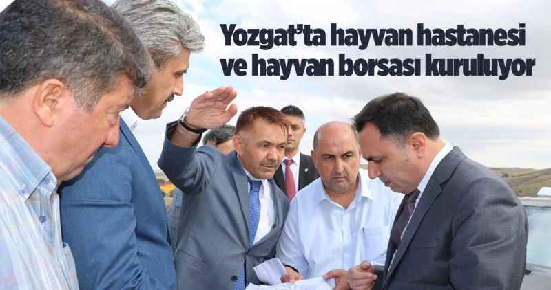 Hayvan hastanesi ve hayvan borsası kuruluyor