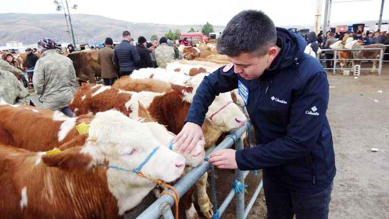 Yozgat’ta denetimler sıklaştı: Hayvan pazarlarında son durum ne?