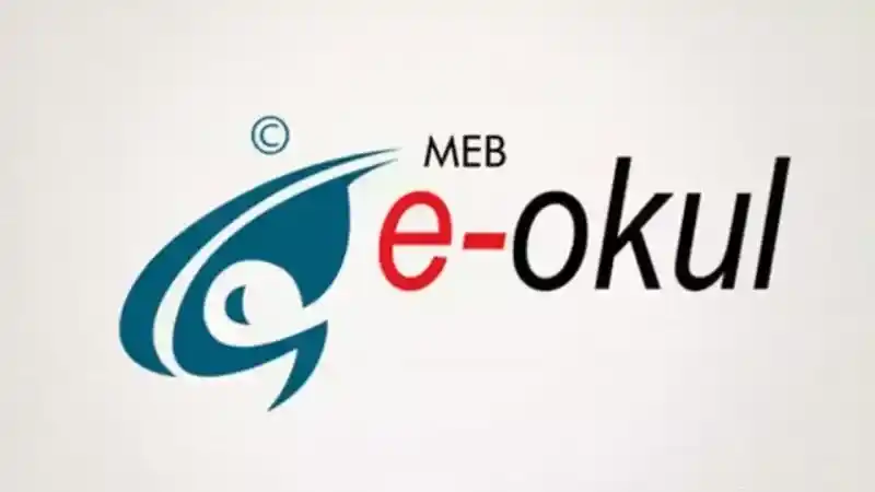 E Okul'a neden girilmiyor ?