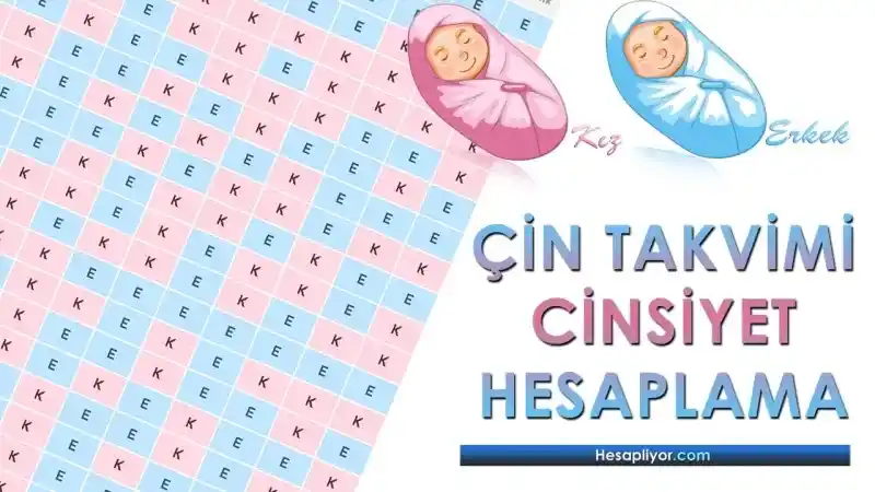 Çin Takvimi Cinsiyet Hesaplama Doğru mu?